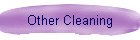 Other Cleaning